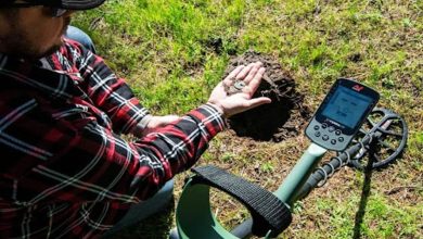 What is the cheapest metal detector