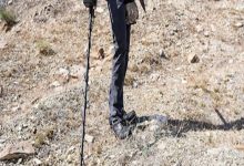 Best Gold and Metal Detectors