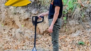 German Gold Detectors