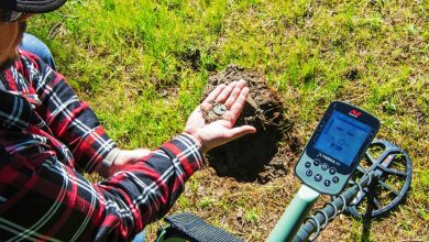 Best Metal Detectors for Limited Budgets