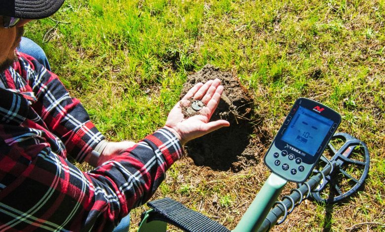 Best Metal Detectors for Limited Budgets